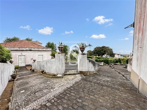 Quinta da Magnólia - Ponta Delgada