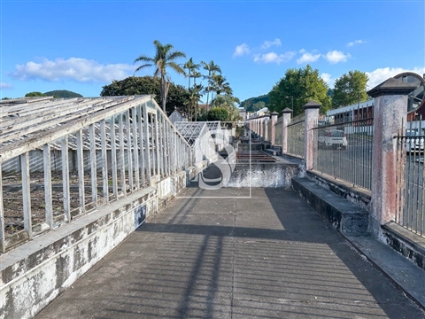 Quinta da Magnólia - Ponta Delgada
